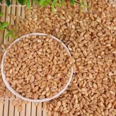 稻谷 其他粮食 玉米 麦类 农副产品加工 饲料 英德市南英精米厂